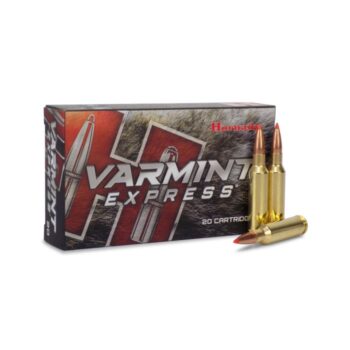 Hornady Varmint Express ammunition box with two cartridges, designed for varmint hunting, showing high-quality brass casing.