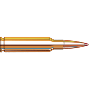 Detailed illustration of a bullet, showcasing its brass casing and red-tipped projectile on a black background.