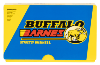 Buffalo Bore Ammo 45-70 Gov 300 Grain Barnes TSX Flat Nose Lead Free (Box)