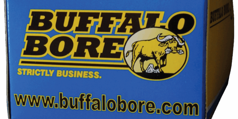 Buffalo Bore 45-70 Gov’t 350 Grain Barnes TSX Flat Nose Lead Free