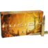 Hornady Black 300 Blackout 110 Grain NTX